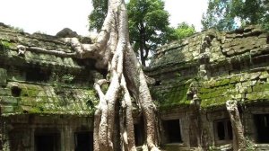 Храм Та Пром, ч.3, Ta Prohm, Камбоджа