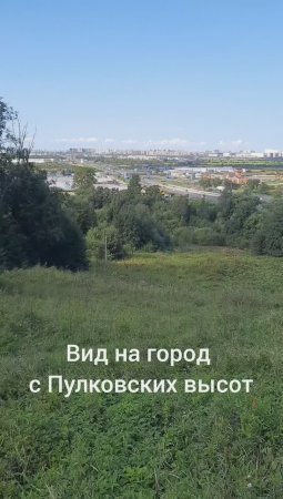 Пулковские высоты