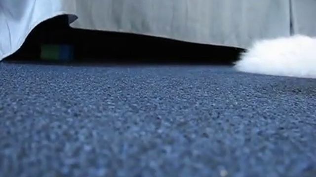 Rat Hunter Pt 1 of 5 смотреть онлайн