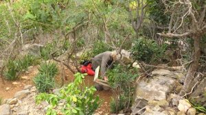 Saint-Barth, l'île secrète des millionnaires