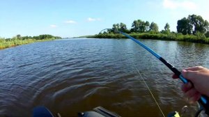 Видеообзор Сhampion Rods Team Dubna Farwater 802МН