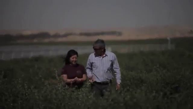 Масло Жожоба Эль Барака смотреть онлайн