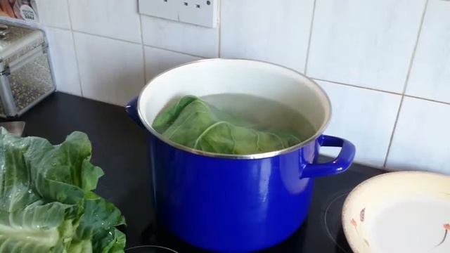 Голубцы в Сливочном Соусе смотреть онлайн