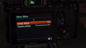 Баланс белого и Зебра для камер Sony