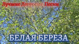 Алексей Кракин - Белая береза ⧸ Дворовые песни