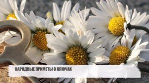 ПРИМЕТЫ О КЛЮЧАХ: 8 ХОРОШИХ И 8 ПЛОХИХ