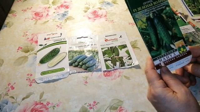 ??САМЫЕ УРОЖАЙНЫЕ ОГУРЦЫ в открытом грунте. Какие гибриды выбрать? смотреть онлайн