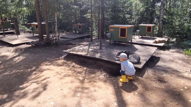 Пастерское озеро август 2021