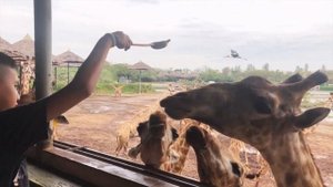 Сафари парк Бангкок Safari World | Отпуск в Бангкоке 4