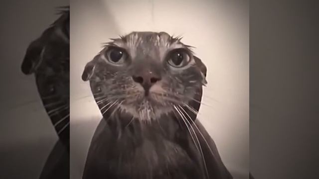 СМОТРИ И СМЕЙСЯ смотреть онлайн