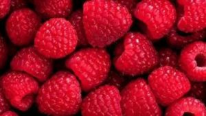 Песня малиновый цвет Леша Свик