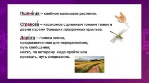 Русский язык. 3 класс. Имя существительное как часть речи /15.01.2021/