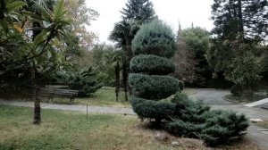 Отдых в Партените (октябрь 2016 года)