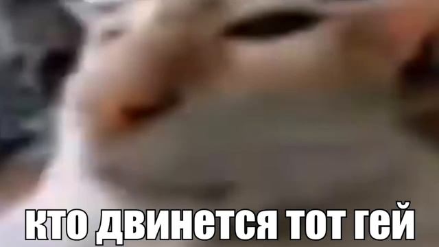 ТОП 5 СМЕШНЫХ ГВОЗДЕЙ