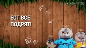ТИПЫ БАСИКОВ НА ПРИРОДЕ И В ПОХОДЕ|Идейки Crafts|Basik TV