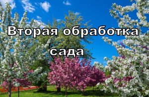 Вторая обработка сада