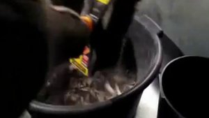 Ритуальные услуги для животных в Москве и области