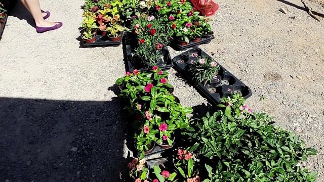 55-20 КРИТ: Рынок в Агиосе Николаосе, июнь 2020/ Что по чем/ Позитив греков поражает смотреть онлайн