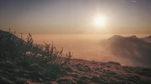 Красивое и Спокойное чтение Корана _ Абдулла Яхья аль-Неги