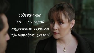Содержание 73, 74 и 75 серий турецкого сериала "Зимородок" (РФ, 2023)