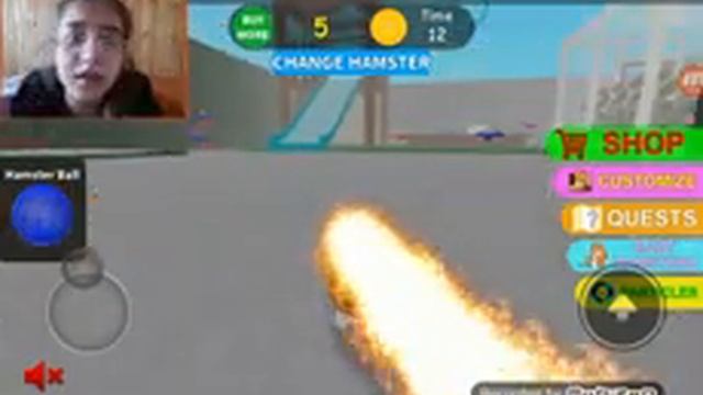 Я стала хомякм!? Симулятор хомяка. /Роблокс/ Roblox смотреть онлайн