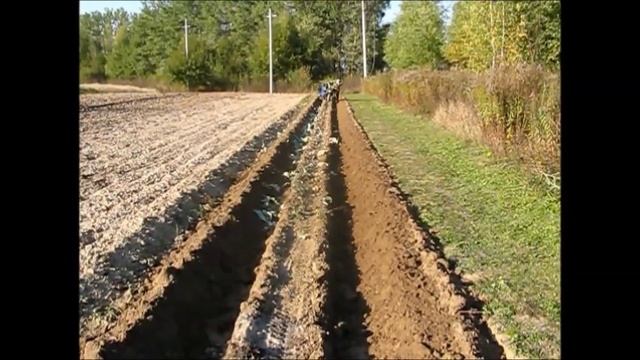 Пашем в развал и делаем развальную борозду. смотреть онлайн