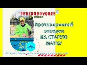 Противороевые отводки! #pereborovobee #пасека #пчеловодство #пчела