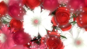 Футаж Букет цветов