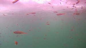 Люблю отдыхать под такое видео и музыку