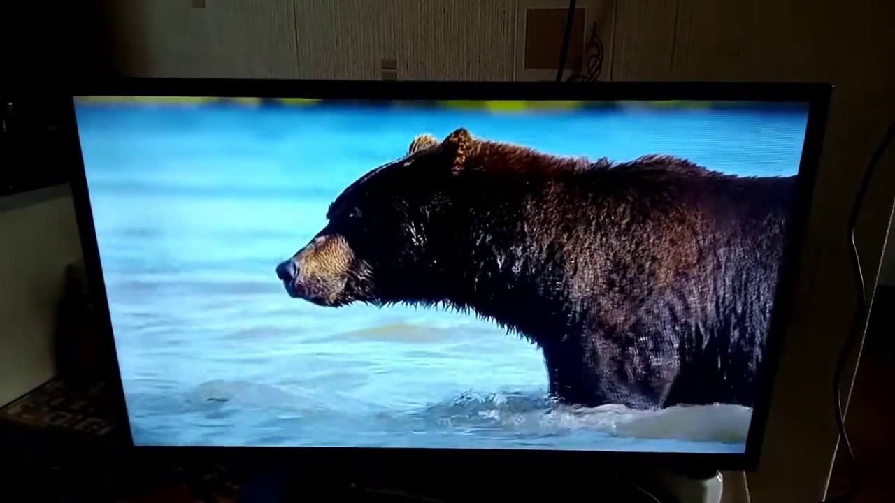 Телевизор Xiaomi Mi TV 4A 32 дюйма