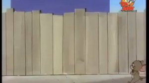 Том и джери много серий подряд