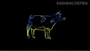 ШОК ПОЛЬСКАЯ КОРОВА НАПИЛАСЬ И СТАЛА ПЕТЬ УКРАИНСКИЙ ГИМН!!!!! !!!