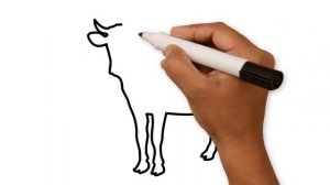 Корова.Как нарисовать корову / Cow. How to draw a cow