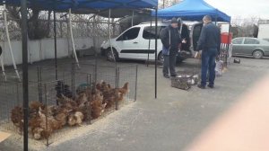 Макеевка Красный рынок привоз