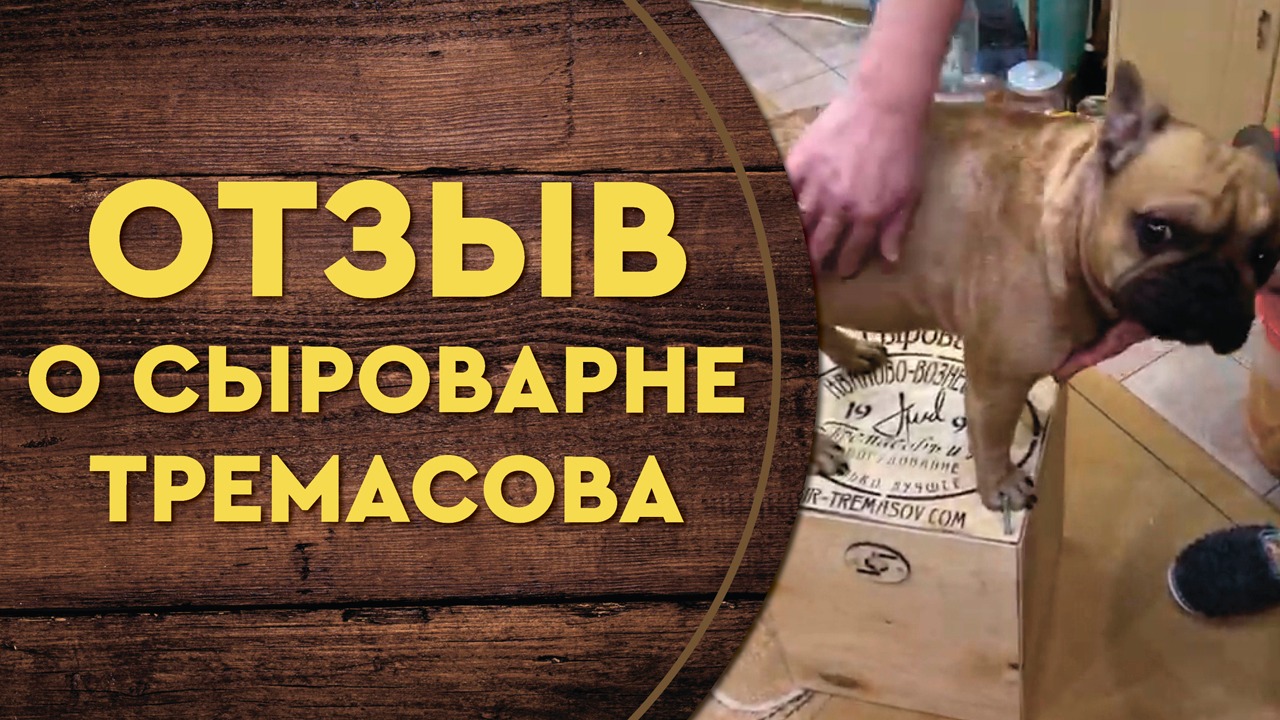 Сыроварня Тремасова-отзыв г. Москва