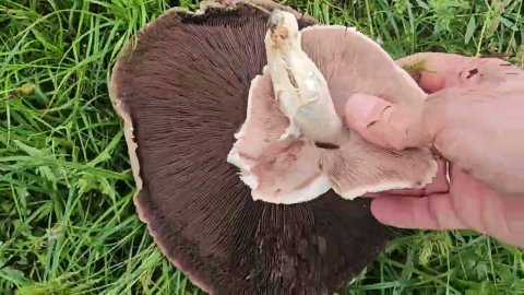 Тараз (Джамбул) прогулка в горах "КУЮК" #тараз #taraz