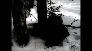 Охота в Удмуртии в начале XX века.