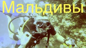 Дайвинг на Мальдивах