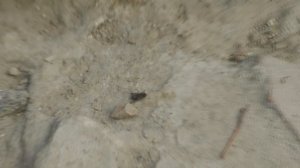 Солевой Карабин против мух и комаров