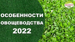 Особенности овощеводства 2022