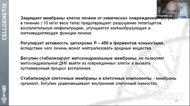 Профессор Дадали В. А. про Бетулин