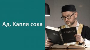 Что такое дерево Заккум?