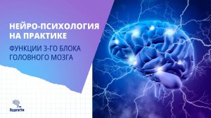 Нейро-педагогика на практике. Часть 3. Функции 3-го блока головного мозга