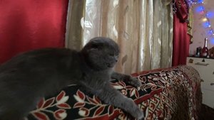 НОВОГОДНИЙ БЕСПРЕДЕЛ! ИЛИ НОВОГОДНИЙ ОТХОДНЯК! Влог