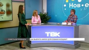 Как выбрать миску для кошки?