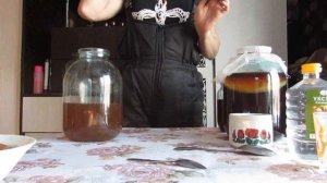 Как вырастить чайный гриб с нуля.Часть 1.