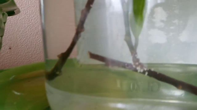 Опять метель смотреть онлайн