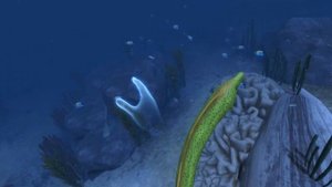 Ocean Rift Oculus Touch Trailer