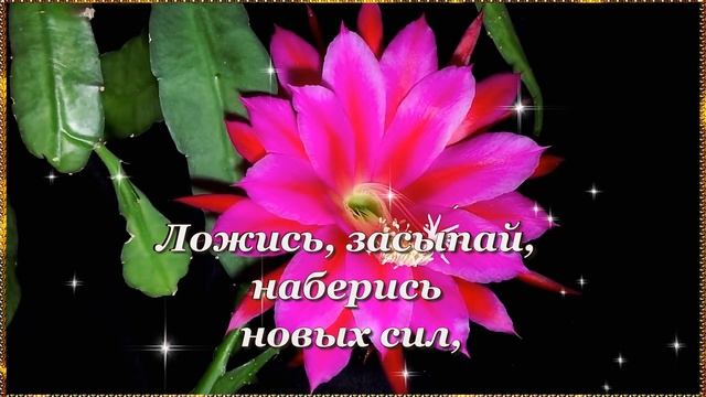 Спокойной Ночи! Нежных Снов! Пусть Тебе Сегодня приснятся Самые прекрасные и Сладкие сны. ?⭐?. смотреть онлайн