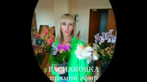 РАСПАКОВКА поставки орхидей. Про Орхидеи в прямом эфире!